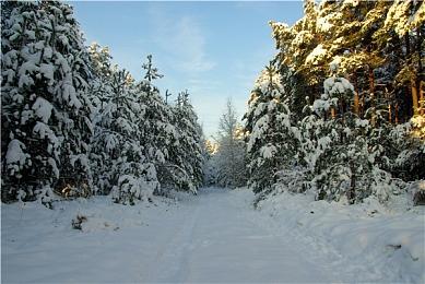 美女主播挑战用跳舞毯玩《战神4》 并Cos奎爷真性感